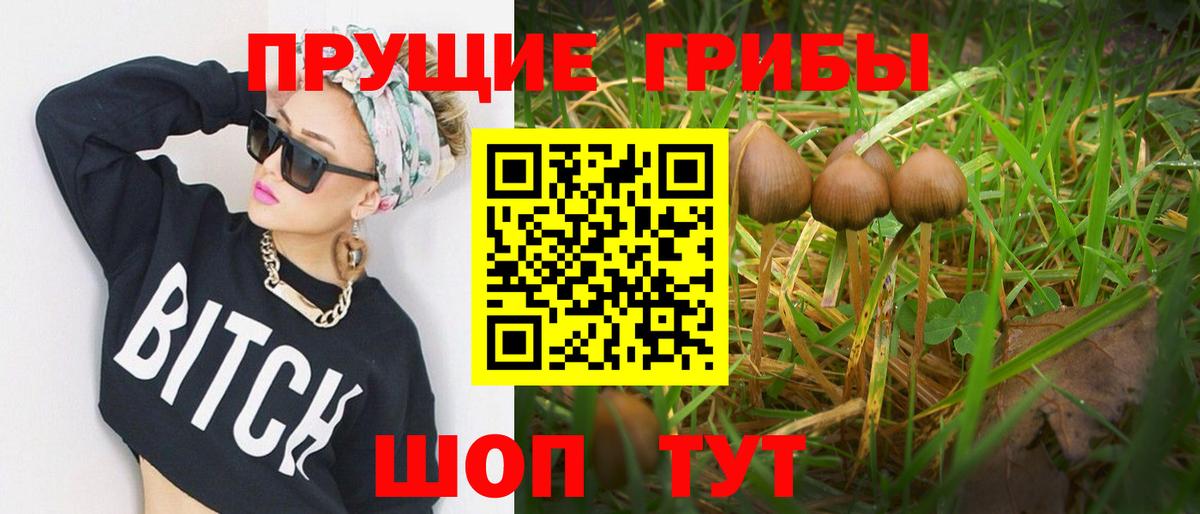 Киселёвск  Псилоцибиновые грибы прущие грибы  Псилоцибиновые грибы ЛСД  Вход с VPN 